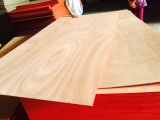 High quality plywood 1820 x910mm_ 1220 x2440mm